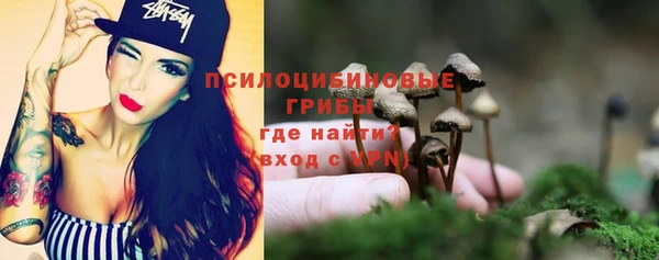 дурь Аркадак