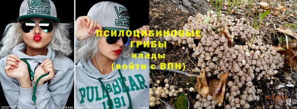 ПСИЛОЦИБИНОВЫЕ ГРИБЫ Арсеньев