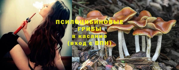ПСИЛОЦИБИНОВЫЕ ГРИБЫ Арсеньев
